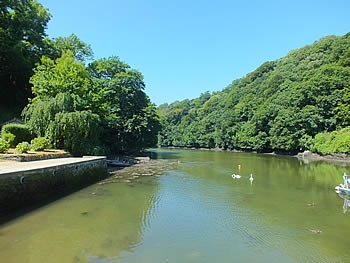 Photo Gallery Image - Pont Pill Quay